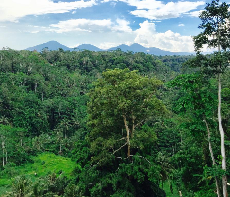 Ayuterra Resort Ubud Eksteriør bilde