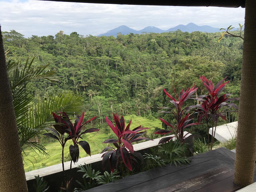 Ayuterra Resort Ubud Eksteriør bilde